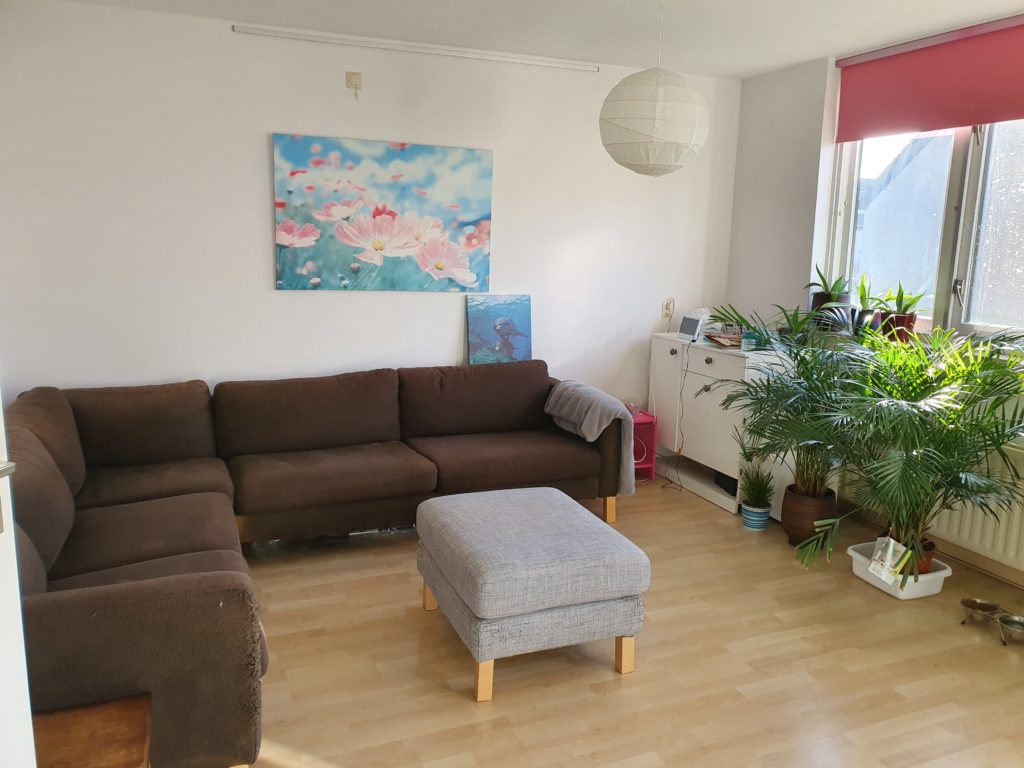 Verkoopstyling, Ridderkerk, Clara Wichmanstraat 38, Ridderkerk, MvL interieurstyling,